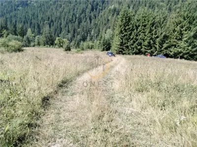 Teren de vanzare pt cabana pe Valea Ilvei - foto 25