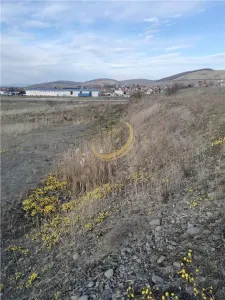 Teren industrial Ernei 1ha cu PUZ - foto 13