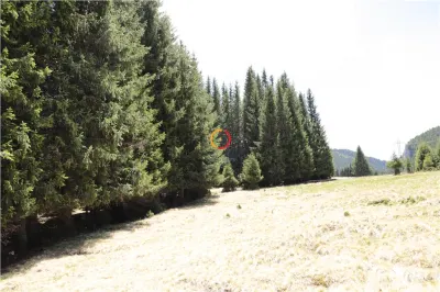 terenuri speciale Padina Busteni sunt dispuse ca o veritabila coroana in jurul lacului Bolboci - foto 13