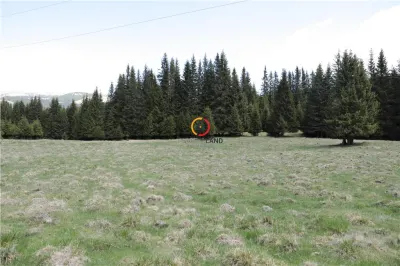 terenuri speciale Padina Busteni sunt dispuse ca o veritabila coroana in jurul lacului Bolboci - foto 5