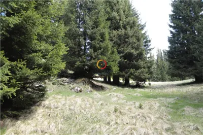 terenuri speciale Padina Busteni sunt dispuse ca o veritabila coroana in jurul lacului Bolboci - foto 9