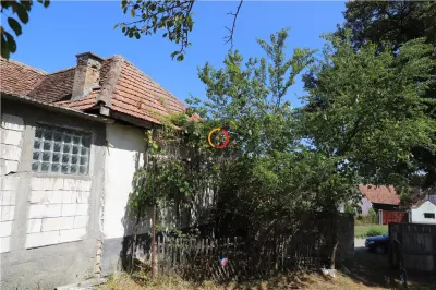 casa traditionala Bruiu Somartin judet Sibiu - foto 22