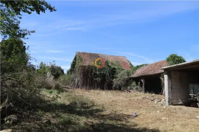 casa traditionala Bruiu Somartin judet Sibiu - foto 4