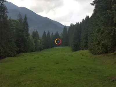 Vile,Hotel sau Pensiune este alegerea  in privinta acestui teren! - Sacele