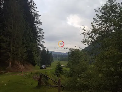 Vile,Hotel sau Pensiune este alegerea  in privinta acestui teren! - foto 11
