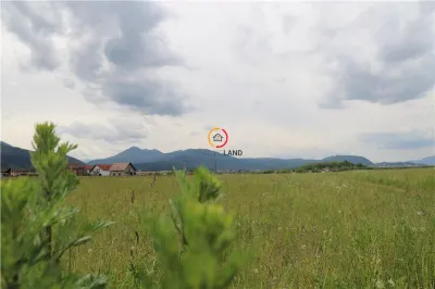 teren  intravilan13100 mp pentru dezvoltare imobiliara - foto 5
