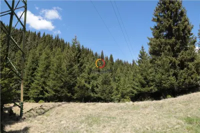 terenuri speciale Padina Busteni, sunt dispuse ca o veritabila coroana in jurul lacului Bolboci - foto 12