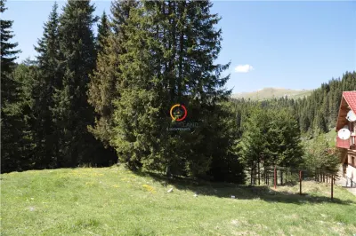 terenuri speciale Padina Busteni, sunt dispuse ca o veritabila coroana in jurul lacului Bolboci - foto 21