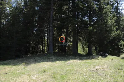 terenuri speciale Padina Busteni, sunt dispuse ca o veritabila coroana in jurul lacului Bolboci - foto 23