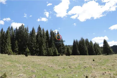 terenuri speciale Padina Busteni, sunt dispuse ca o veritabila coroana in jurul lacului Bolboci - foto 10
