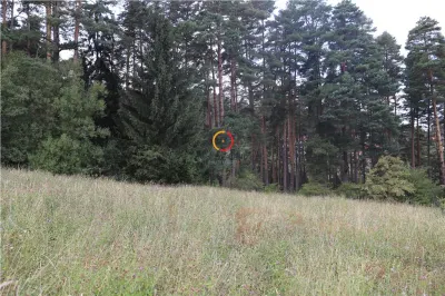 teren intravilan cu PUZ si PUD 2 loturi - foto 5