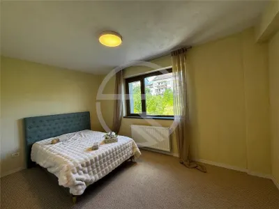Apartament 3 camere,70 mp + terasa ,situat pe strada Borhanciului! - foto 10