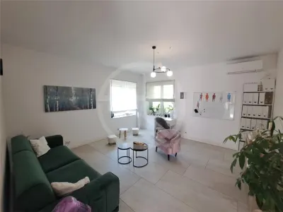 Spatiu pentru birouri, 160 mp utili, situat in zona Piata Cipariu! - foto 8