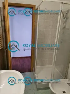 Royal Imobiliare - Inchiriere apartament 2 camere zona Ultracentral - foto 10