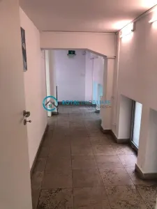 Royal Imobiliare - Inchiriere spatiu comercial zona Ultracentrala - foto 10