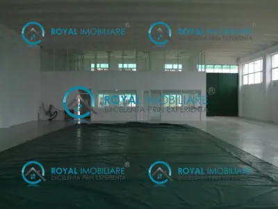 Royal Imobiliare - Inchirieri spatii industriale zona Filipesti de targ - foto 5