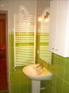 ROYAL IMOBILIARE - Inchiriere vila zona Nord - foto 13