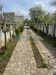 Royal Imobiliare - Vanzare Vila de lux in Paulesti - foto 6