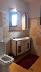 Royal Imobiliare - Vanzare Vila zona Paulesti- Gageni - foto 14
