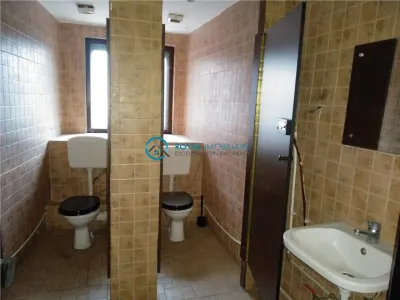 Royal Imobiliare - vanzari case/vile Ultracentral - foto 8