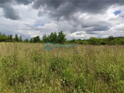 Royal Imobiliare - Vanzari Terenuri zona Urlati - foto 2