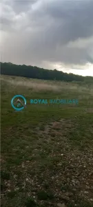 Royal Imobiliare-Vanzare Teren Zona Pacureti - foto 2