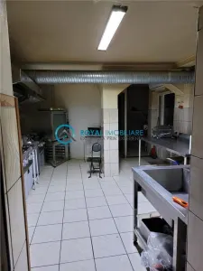 Royal Imobiliare - Inchiriere Vila zona Republicii - foto 10