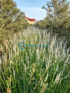 Royal Imobiliare-Vanzare Teren Intravilan Zona Valea Calugareasca - foto 3