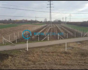 Royal Imobiliare-Vanzare Teren Intravilan Zona Valea Calugareasca - foto 4