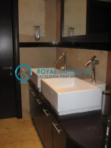 Royal Imobiliare - inchirieri spatii comerciale - foto 15