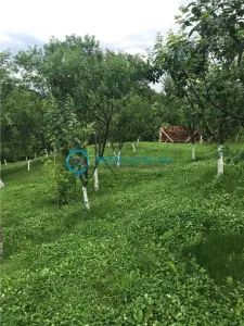 Royal Imobiliare- Vanzare Casa de Vacanta Teisani - foto 7