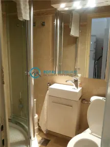 Royal Imobiliare - Inchiriere garsoniera dubla zona B-dul Independentei - foto 8
