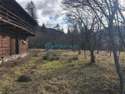 Royal Imobiliare-Vanzare Teren Zona Voineasa - foto 2