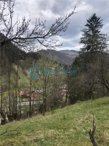 Royal Imobiliare-Vanzare Teren Zona Voineasa - foto 4