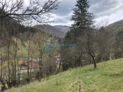 Royal Imobiliare-Vanzare Teren Zona Voineasa - foto 5