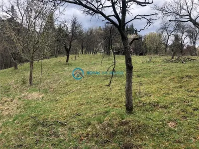 Royal Imobiliare-Vanzare Teren Zona Voineasa - foto 6