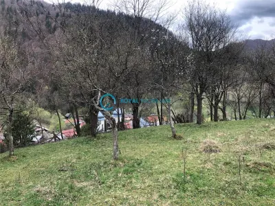 Royal Imobiliare-Vanzare Teren Zona Voineasa - foto 7