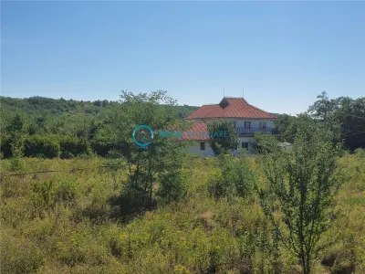 Royal Imobiliare - Vanzare Teren zona Gageni - foto 3