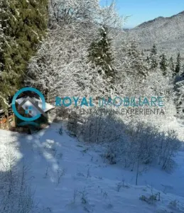 Royal Imobiliare-Vanzare Teren Intravilan Zona Predeal - foto 2