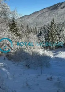 Royal Imobiliare-Vanzare Teren Intravilan Zona Predeal - foto 3
