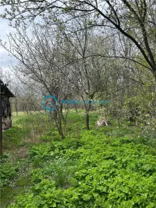 Royal Imobiliare - vanzare casa zona Filipestii de Padure - foto 17