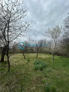 Royal Imobiliare - vanzare casa zona Filipestii de Padure - foto 18