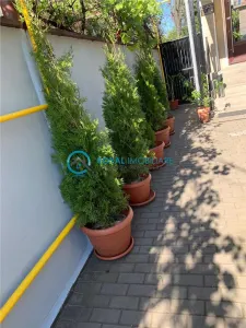 Royal Imobiliare - inchirieri birouri zona Ultracentrala - foto 16