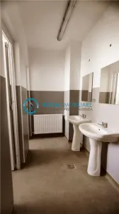 Royal Imobiliare - Inchiriere cladire birouri zona Ultracentral - foto 14