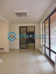 Royal Imobiliare - Inchiriere Vila Zona Cantacuzino - foto 16