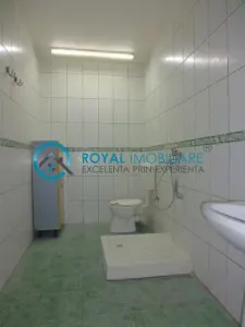 Royal Imobiliare - Inchiriere Vila Zona Cantacuzino - foto 25