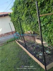 Royal Imobiliare - Vanzare Vila zona Dorobantul - foto 20