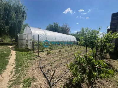 Royal Imobiliare-Vanzare Vila Zona Romanesti - foto 24