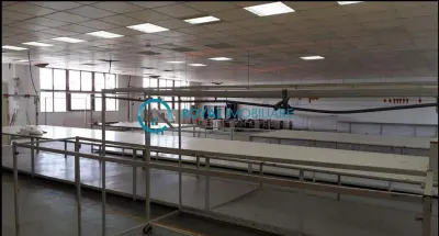 Royal Imobiliare-Inchiriere Spatiu Industrial Zona Vest - foto 6
