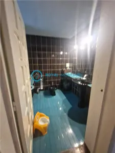 Royal Imobiliare - Inchiriere vila P+1, zona Marasesti - foto 9